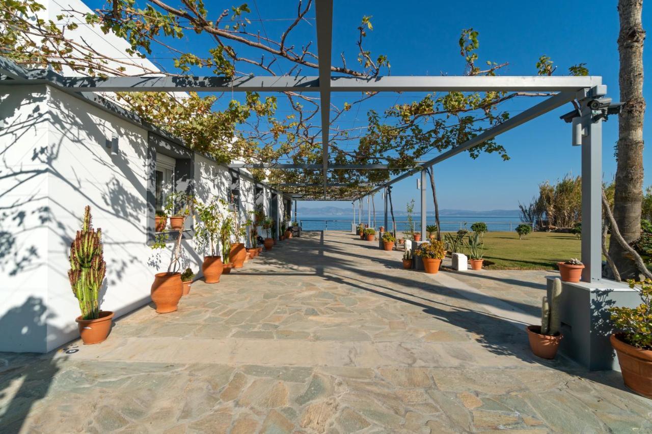 Seaside Private Beach Paradise Kos Town Exterior photo